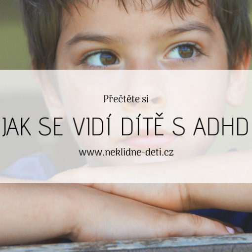 blog_jak_se_vidi