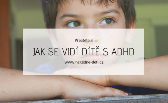 blog_jak_se_vidi